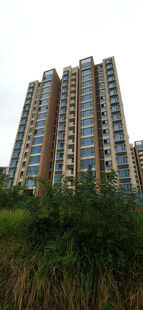 高层住宅楼与绿植景观