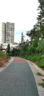 城市中的多彩林荫步道