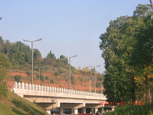 公路桥梁旁的绿意景致