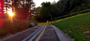 夕阳下的林间步道