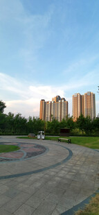 城市公园中的开阔景观