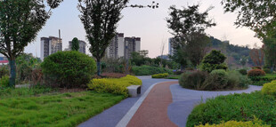 城市中的美丽花园小径