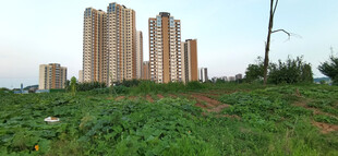 草地旁的高楼建筑群