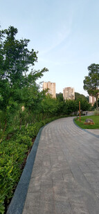 城市公园中的幽静林荫步道