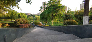 公园里绿意盎然的阶梯