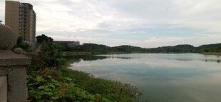 湖畔城市风光美景