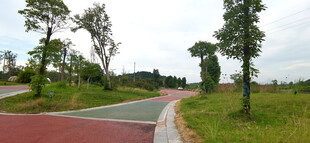 乡村彩色道路旁绿意景致