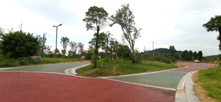 公园彩色步道风景