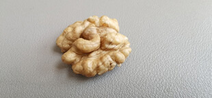 一颗饱满的核桃仁