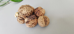 一堆带斑点的褐色坚果