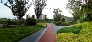 城市公园里的美丽彩色步道