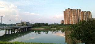 河畔高楼与桥梁美丽景致