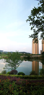 湖畔风光与远处建筑景致