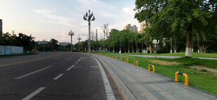 城市道路旁的绿化景观