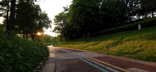 夕阳下的林间静谧小路