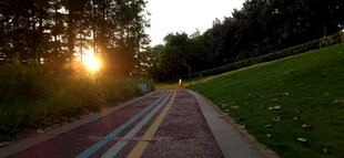 夕阳下的林间小路