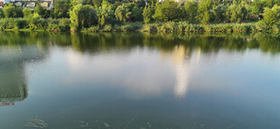 宁静湖畔绿意浓水中倒影