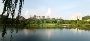 城市中的湖畔美景