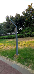 路边草地中的路灯