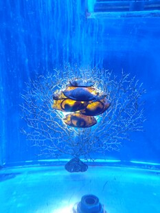 水族馆