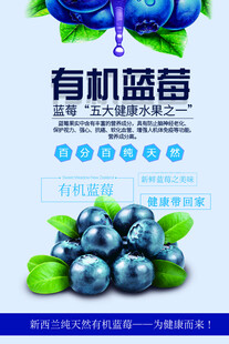 蓝海海报