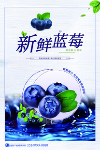 蓝莓海报