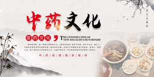 中国风中药传统中医药材展板