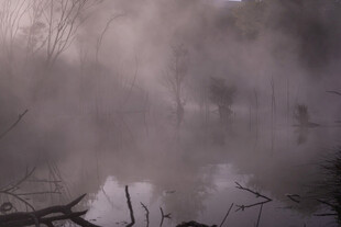 雾气弥漫的自然景象