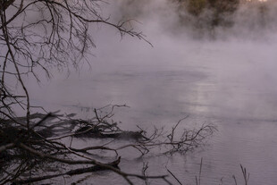 雾气弥漫的静谧水边景象