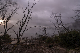暴风雨后荒芜的自然景象