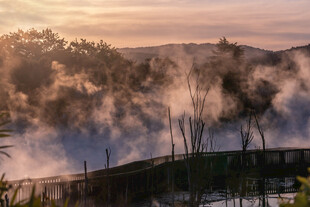 日出山林间的缥缈晨雾
