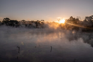 日出时分湖面薄雾美景