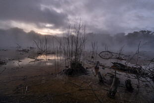 黄昏湿地景观 静谧自然美
