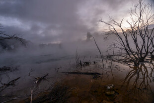 雾霭中的湿地黄昏景象