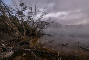 雾气弥漫的荒野河岸景象
