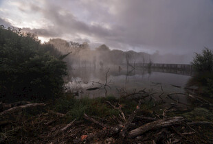雾霭笼罩下的自然景观