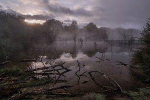 晨雾中的静谧森林湖泊