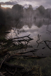 晨雾中的静谧湖畔景象