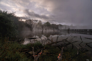 黄昏湿地 水汽氤氲的自然景
