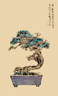 中式盆景艺术 苍松遒劲