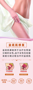 盆底肌修复