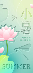 小暑时节荷花绽放