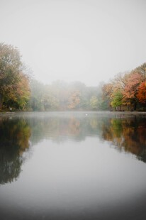 雾中湖畔秋景