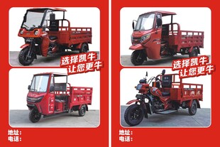 四轮电动三轮车展示
