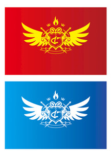  班级旗帜