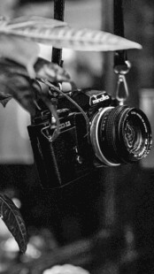 复古相机 尽显摄影之美