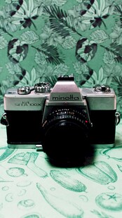 复古绿植背景下的黑色物品