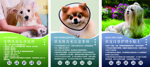 宠物店海报