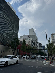 城市街道上的车辆与建筑