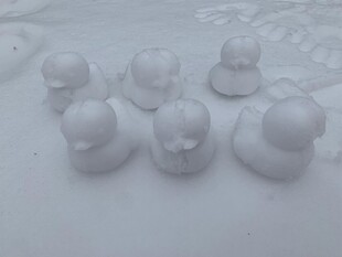 雪做的小鸭子